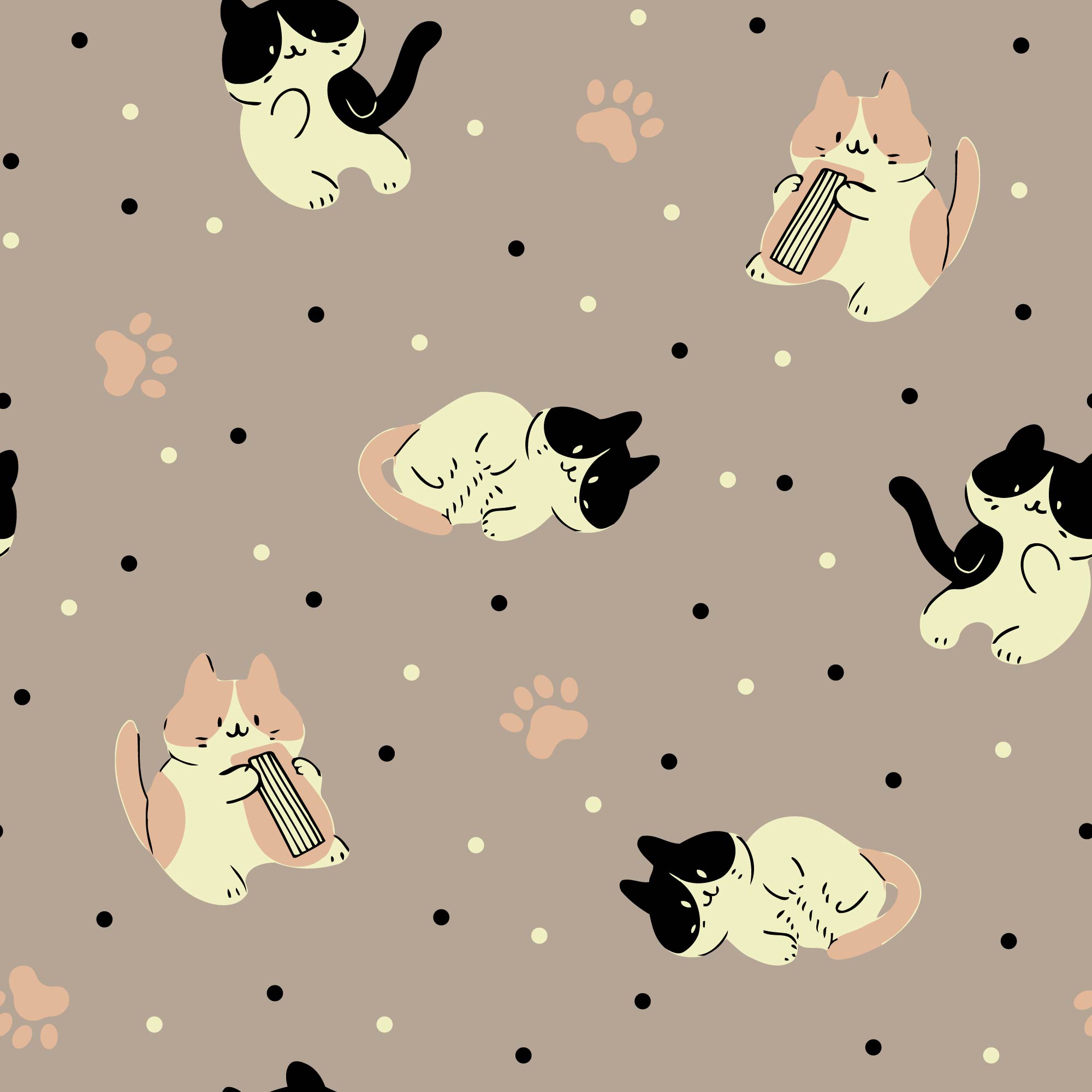 动物 猫