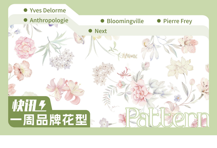 品牌花型快讯矢量 -17