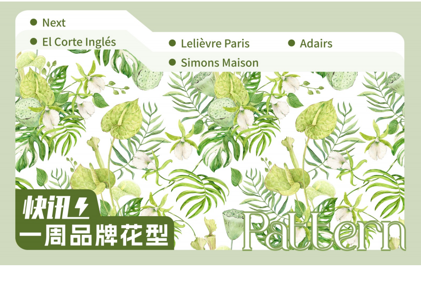 一周品牌花型快讯矢量 -14
