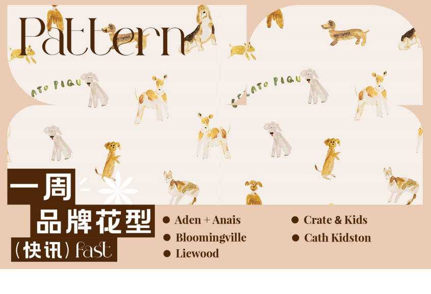 品牌花型快讯矢量 -2